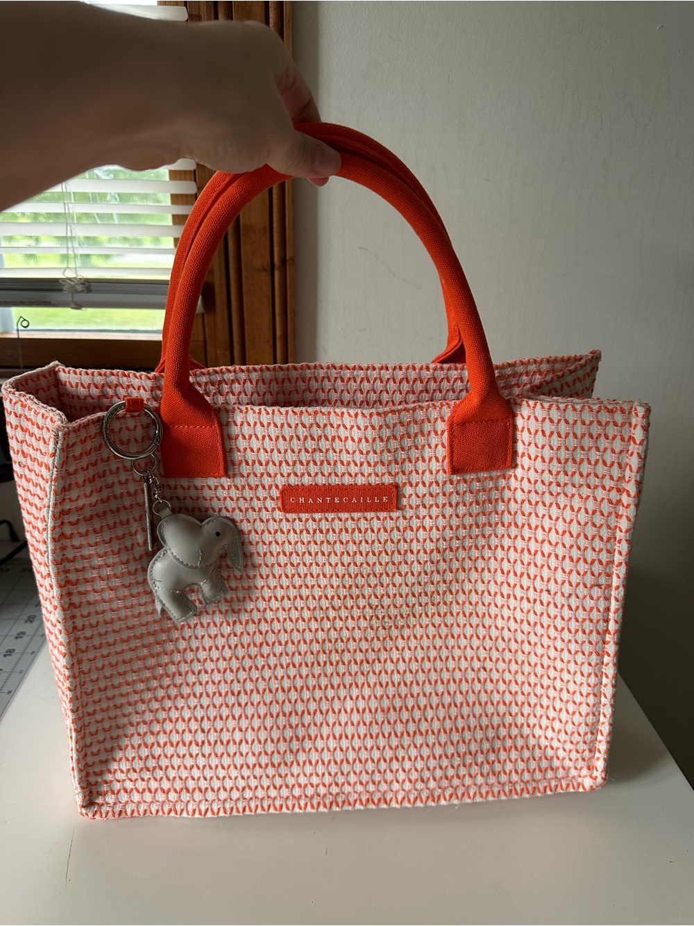 Chantecaille Orange Patterned elephant Canvas Tote Bag